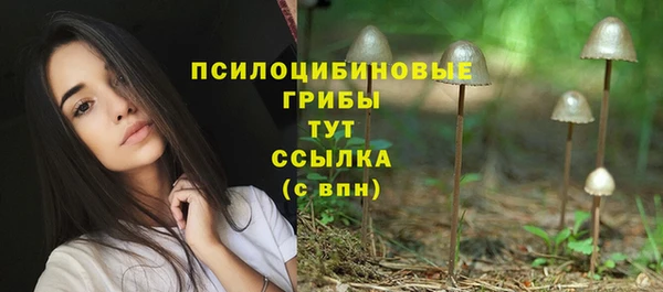 гидропоника Абаза