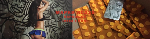 сатива Наволоки
