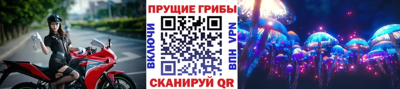 дарк нет Telegram  Ардон  Галлюциногенные грибы ЛСД 
